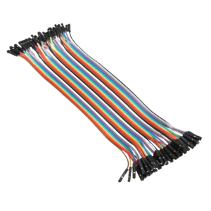 Cable Dupont 300mm Female-Female - 40Way